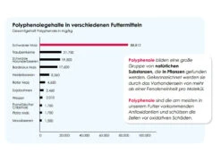 Versele Start Plus I.C.⁺ 20kg -Tier Snack Geschaft antioxidantien 19