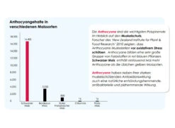 Versele Start Plus I.C.⁺ 20kg -Tier Snack Geschaft antioxidantien 29
