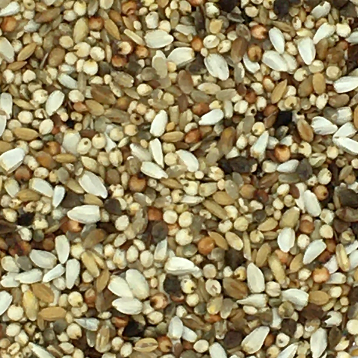 Beyers 24 - Superdiät 25kg 2 Beyers 24 - Superdiät 25kg