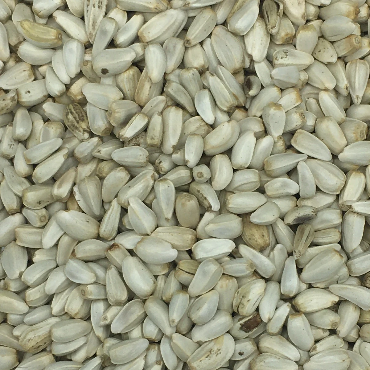 VERSELE-LAGA Cardy - Versele 20kg 3 VERSELE-LAGA Cardy - Versele 20kg