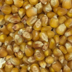 Mais Cribbs Nr.78 Vanrobaeys 25kg