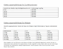 Tier Snack Geschaft -Tier Snack Geschaft ftterungshinweise gladen puppy junior neu2