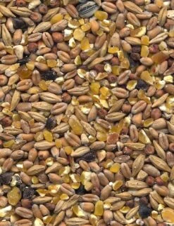 Havens Scharrel-Graan - Körnerfutter 25kg -Tier Snack Geschaft graanmengelingenscharrelgraan