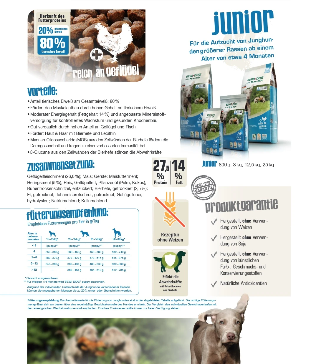 Bewi Dog Junior 12,5kg 6 Bewi Dog Junior 12,5kg – Bild 4