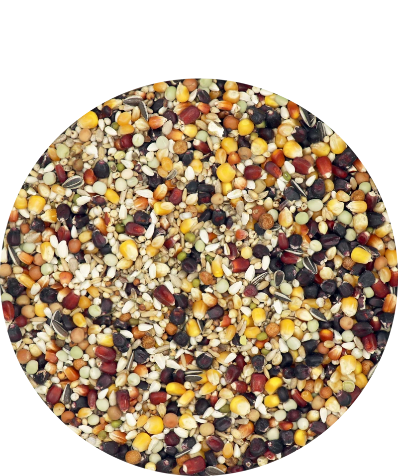 Versele Master Witwer 20kg 3 Versele Master Witwer 20kg