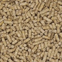 Mifuma Straußenfutter (SF) Ohne GVO 25kg