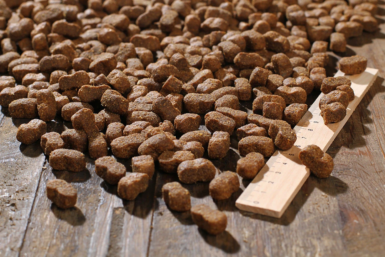 Bewi Dog Junior 12,5kg 5 Bewi Dog Junior 12,5kg – Bild 3