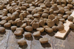 Bewi Dog H-Energy 25kg -Tier Snack Geschaft rs2910 h energy kroketten lineal img 1786b klein